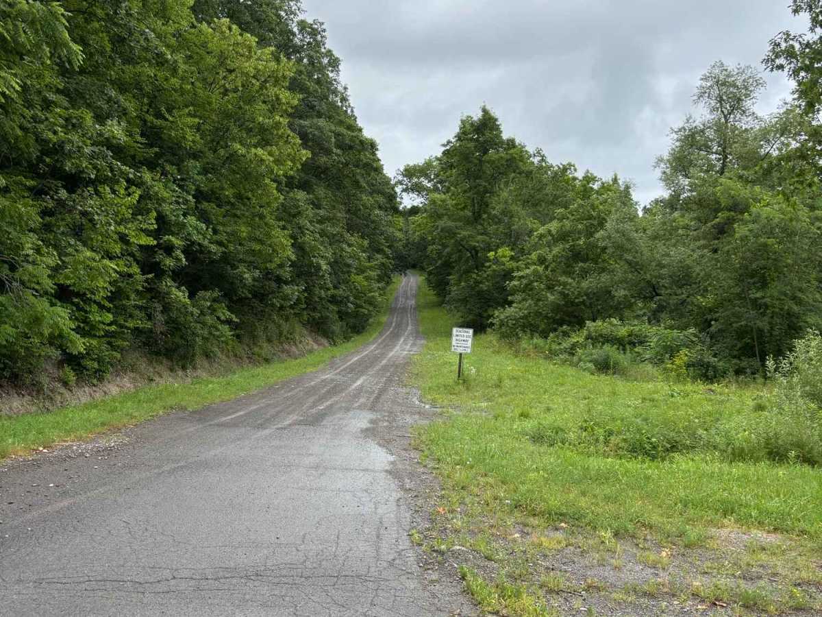 Warren Road photo 5