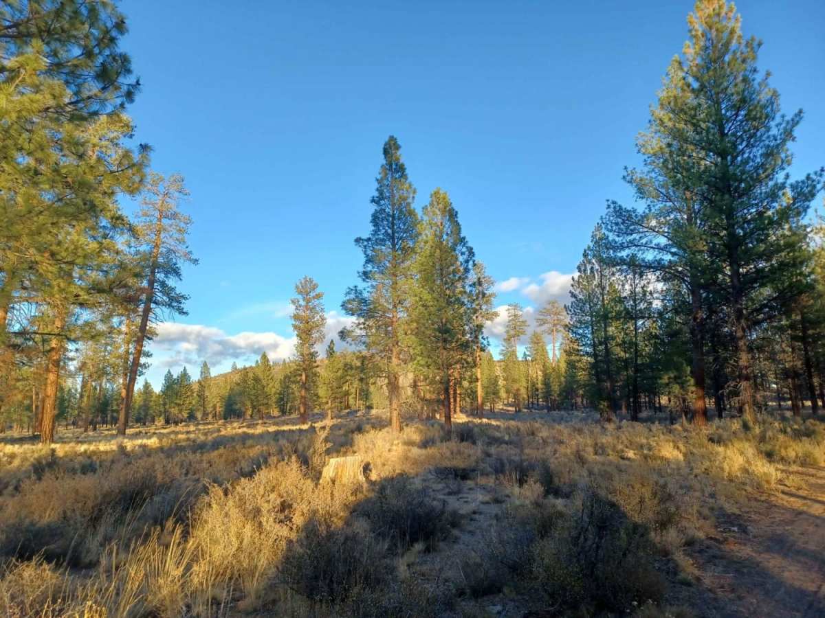 Flat Top photo 2
