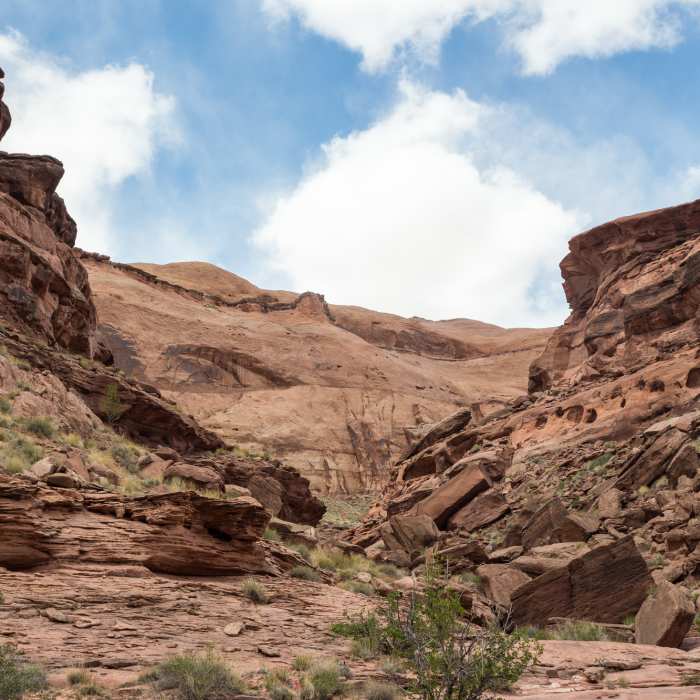 Near Butler Canyon Trail