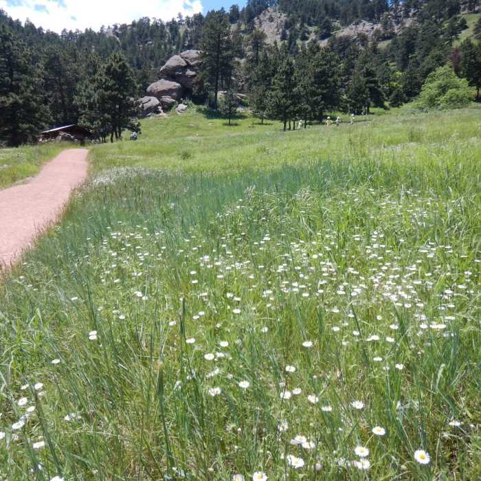 Near Viewpoint Trail