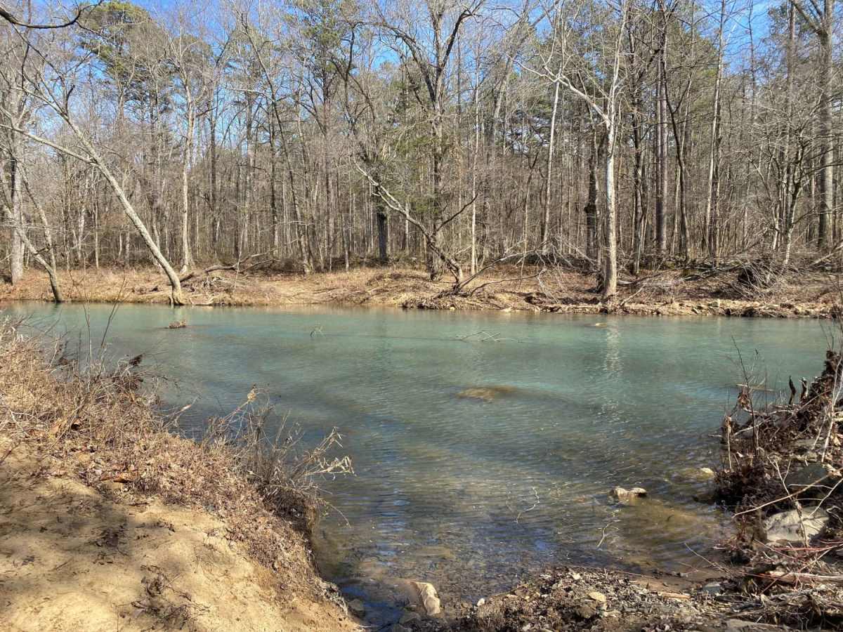 Middle Fork Illinois Bayou photo 5