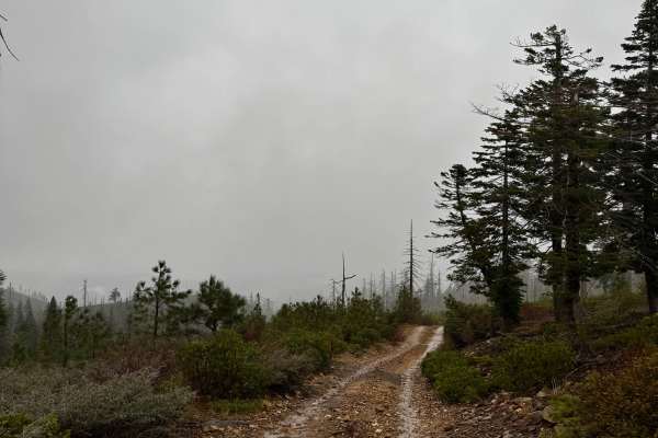 American Hill Trail