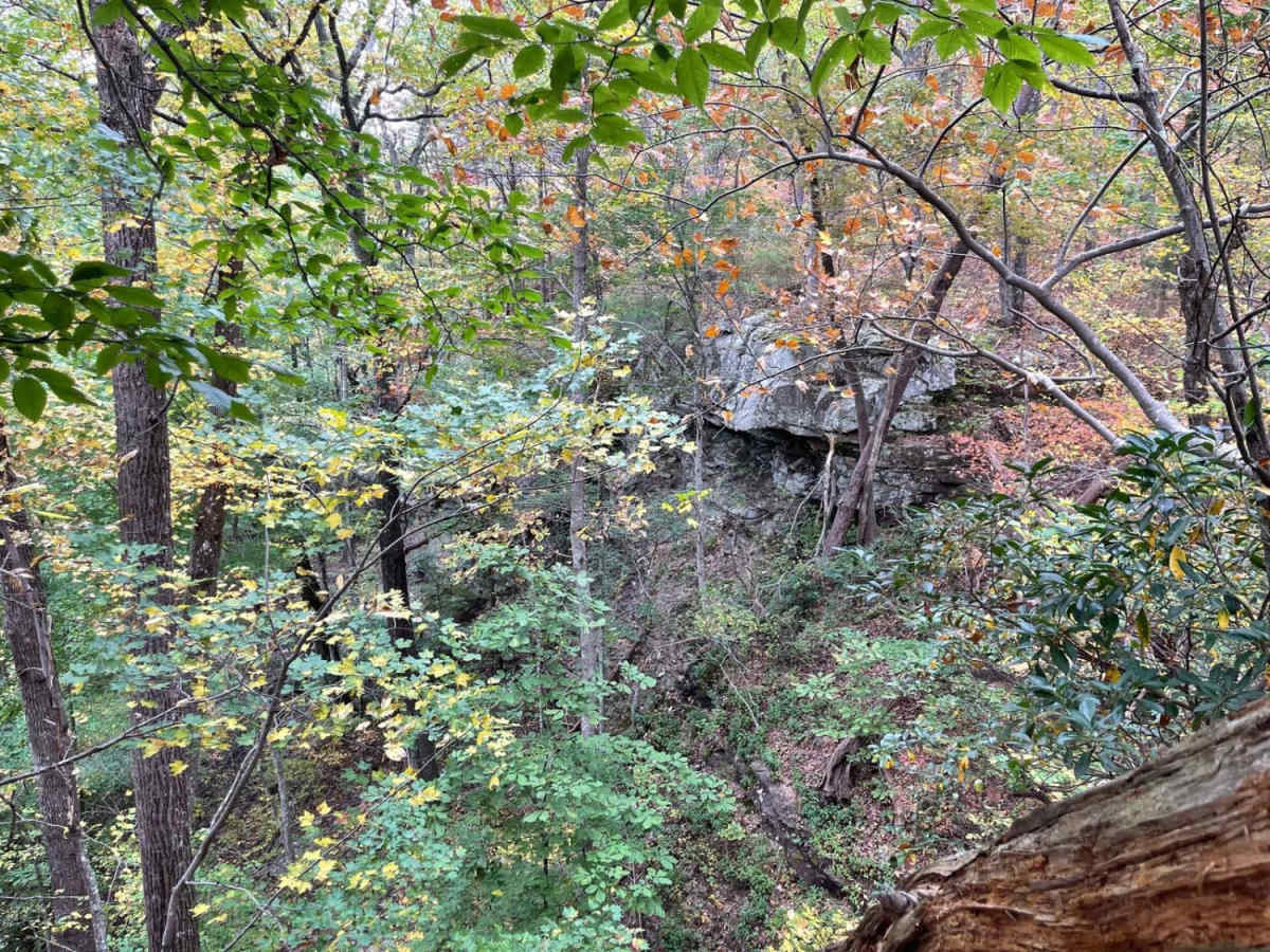 Overlook photo 5