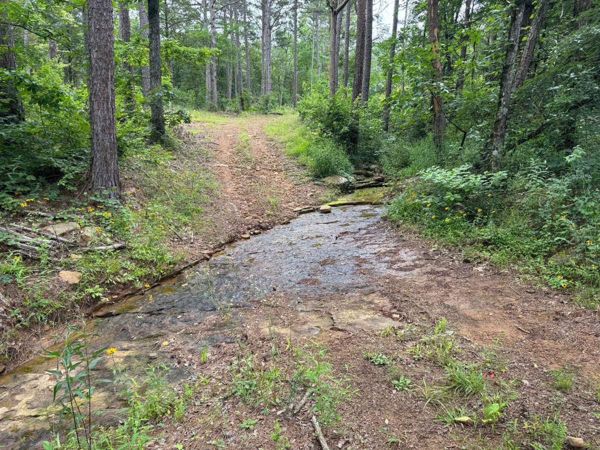 Bigham Road photo 4