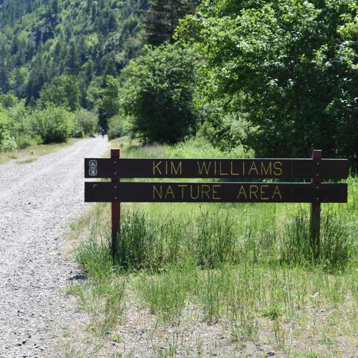 Near University Mountain via Kim Williams Trail