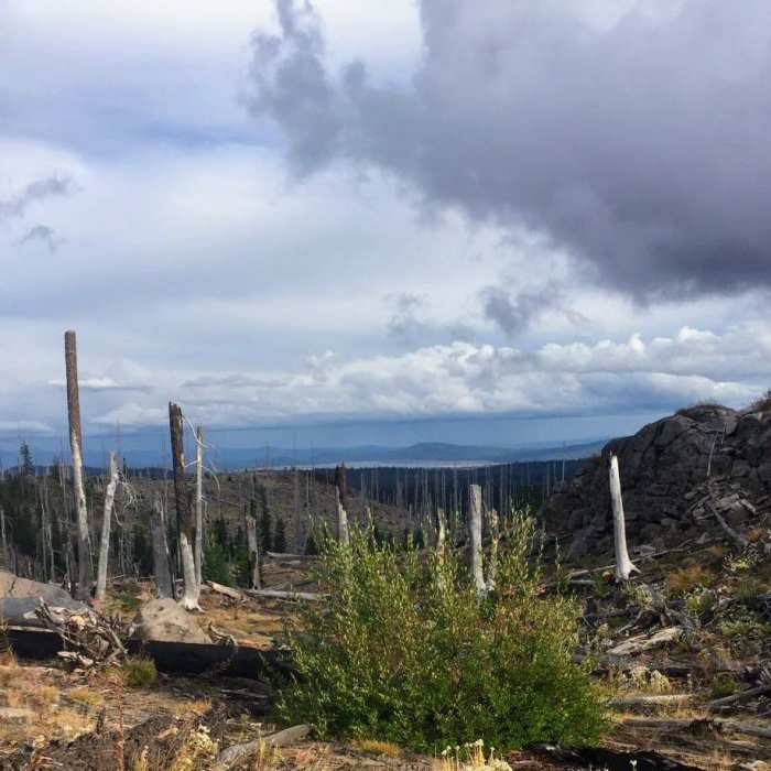 Near Charlton Lake Loop