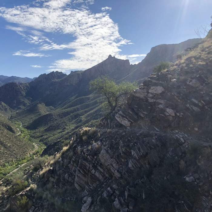 Near Phoneline Trail