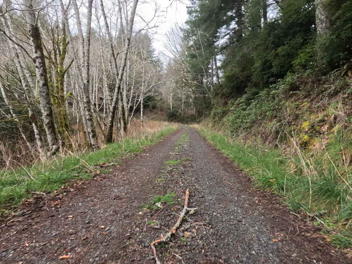 Tenmile Butte Road - 3500 photo 5
