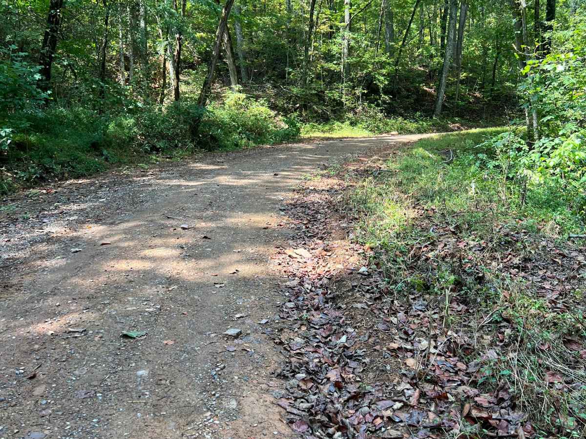 Estelle Mines Road photo 5