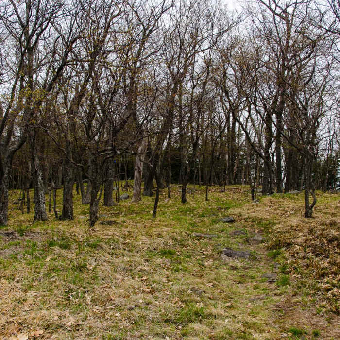 Near Tongue Mountain Range