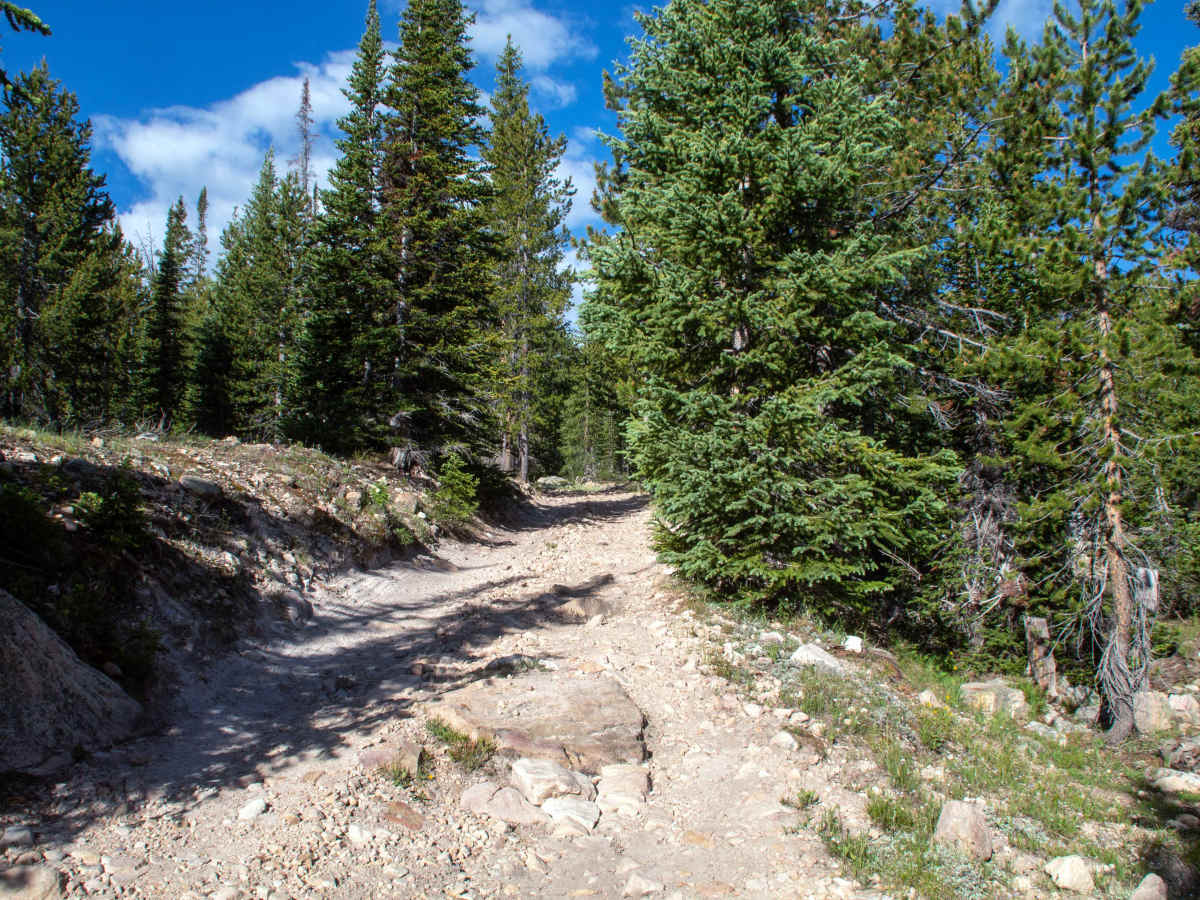 Slate Gorge - FS 80964 photo 5