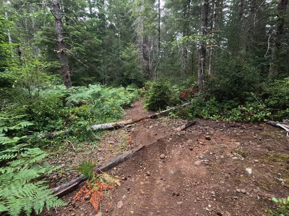 UB Lost Trail photo 4