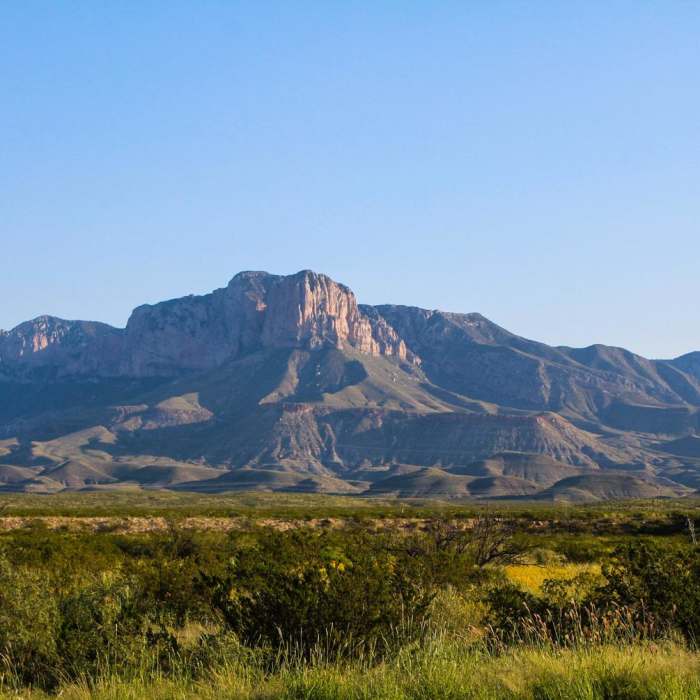 Near Guadalupe Peak Trail Near Guadalupe Peak Trail