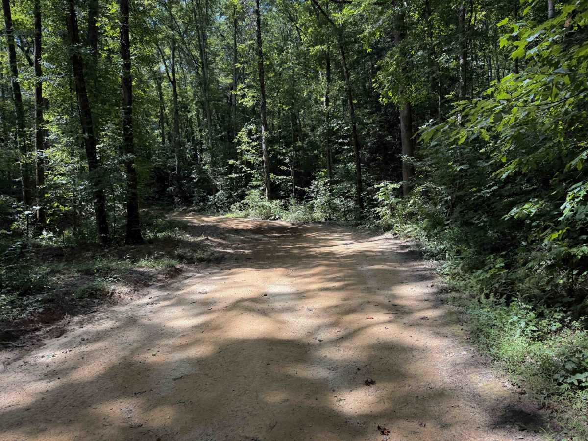 School House Trail 16  photo 4