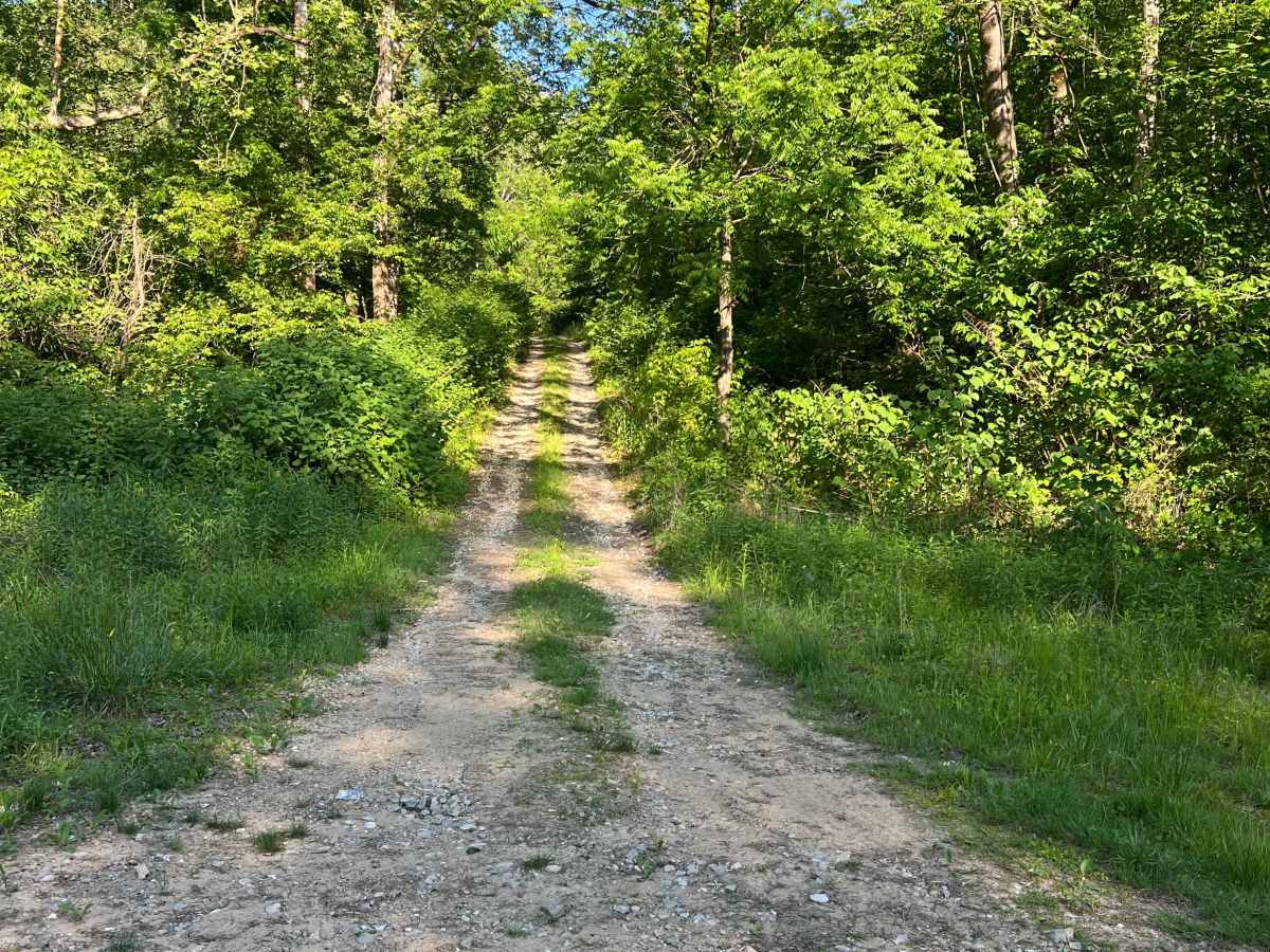 KC28 trail photo