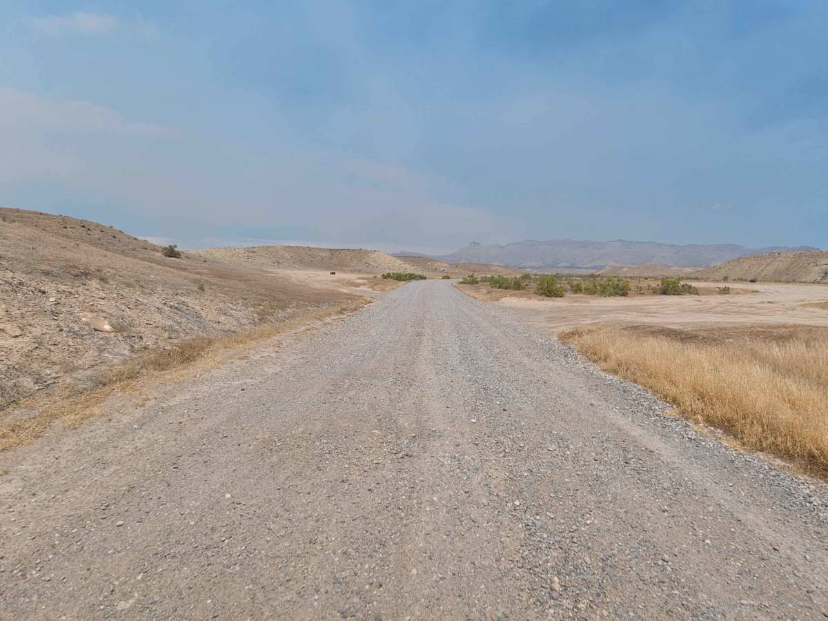 BLM 209X photo 2