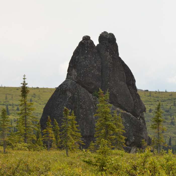 Granite Tor. Near Granite Tors Trail