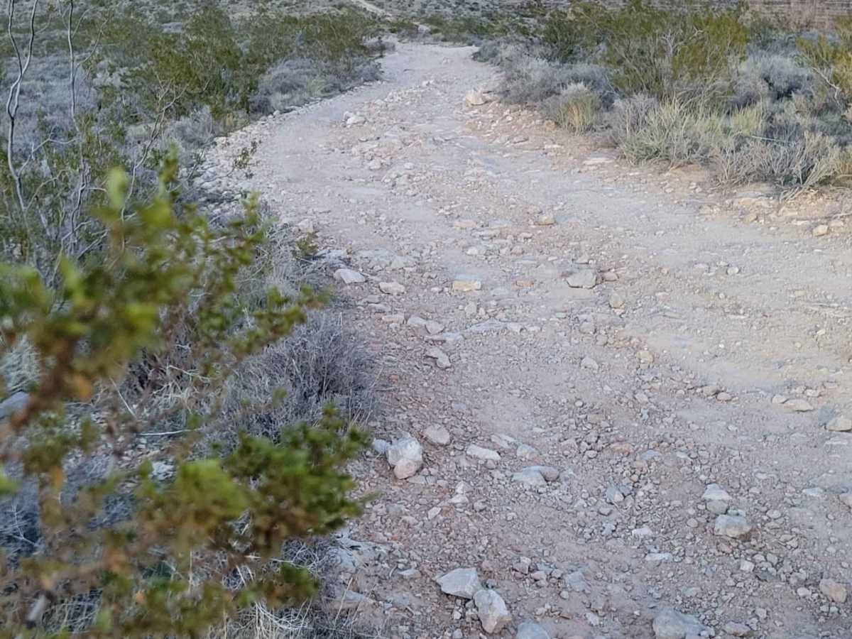 Black Rock Trail photo 4