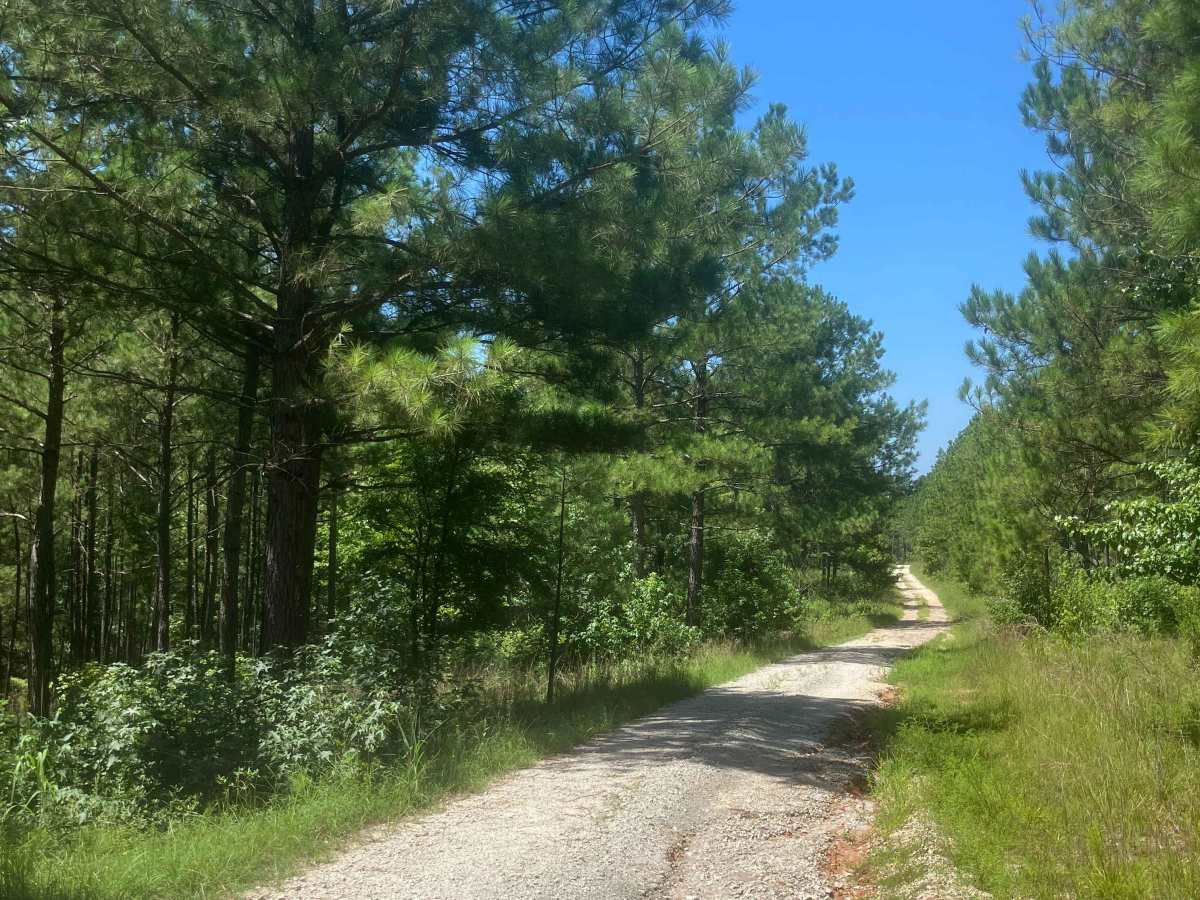 Mason Wildlife Trail South photo 4