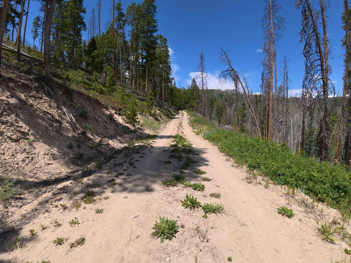 Fox Loop - BLM 2758 trail photo