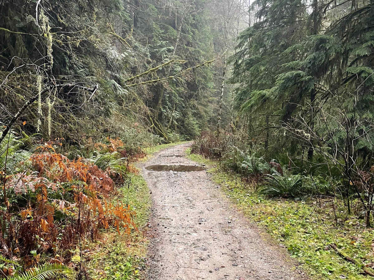 Ring Creek Rip photo 3