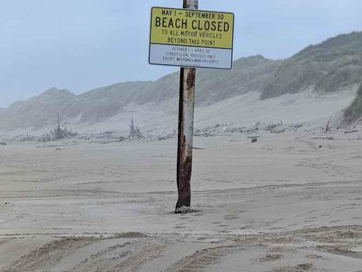 South Jetty Open Beach photo 3
