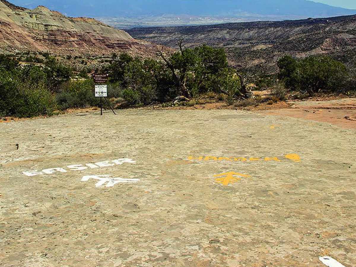The Tabequache photo 5