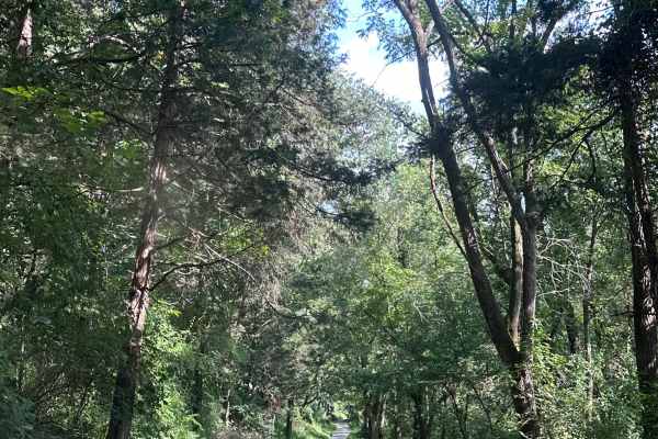 Riverwater Lane