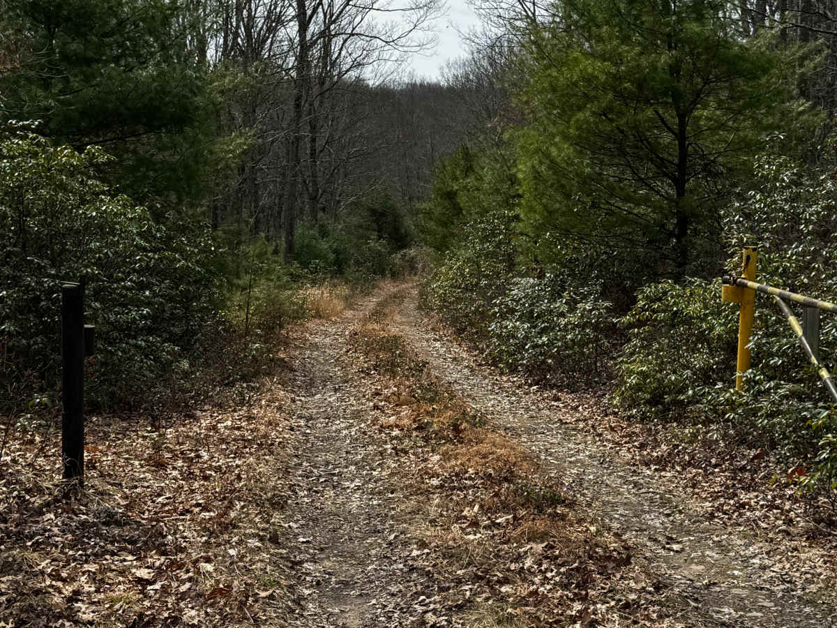 Dutlinger Trail photo 3