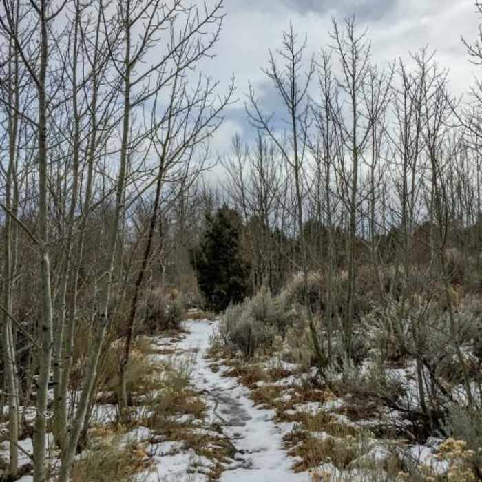 Near Backyard Boulders Trail
