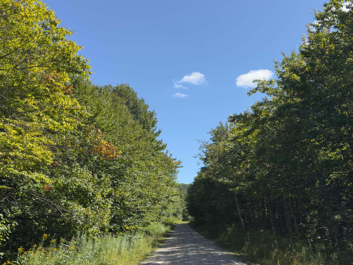 Branch Pond Trail trail photo