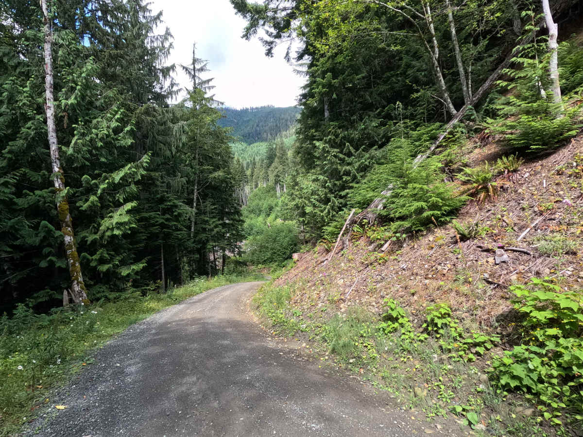 Clearwater Creek Mainline photo 5