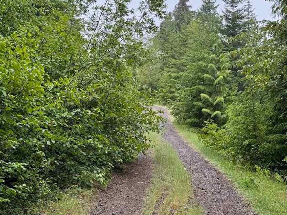 Line Road - FS 5403210 photo 2