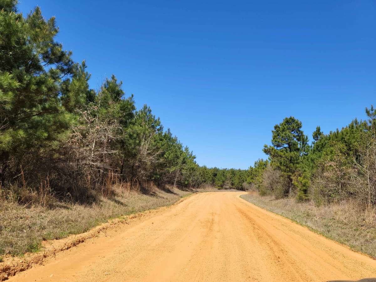 The Arkansas Overland Route - Section 3 - Road 113 to Highway 76 photo 6