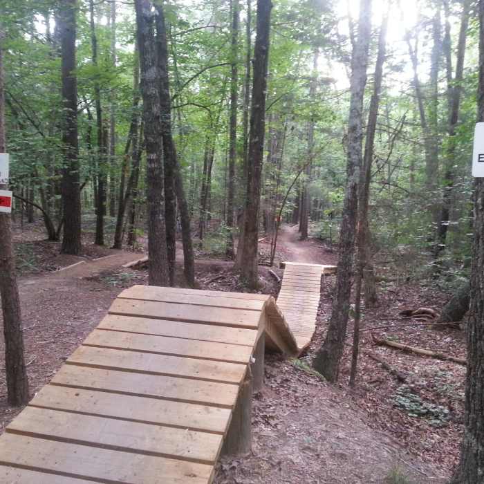 A mountain bike feature. Near Main Loop Trail