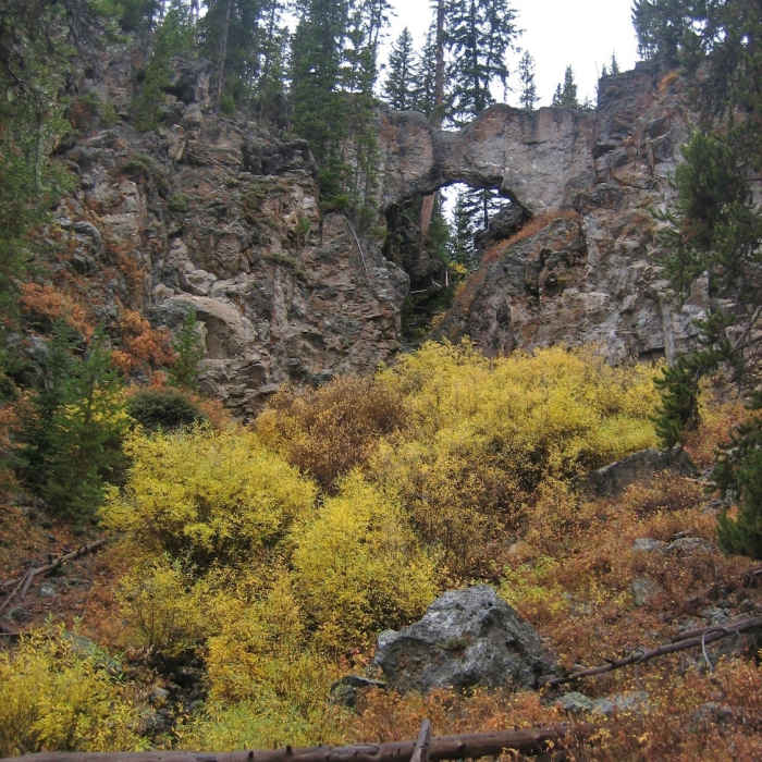 Near Natural Bridge Trail