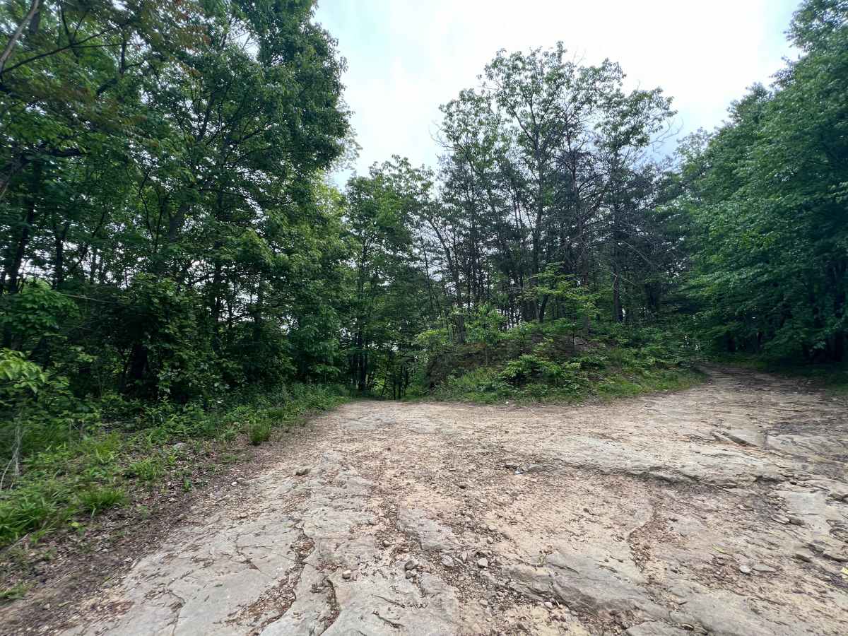 Q65 - Horsemill Hollow trail photo