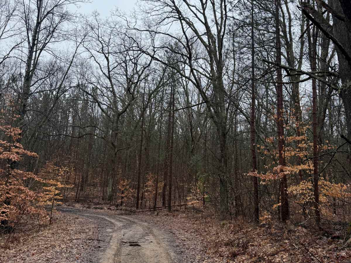 NFS 6079 photo 5