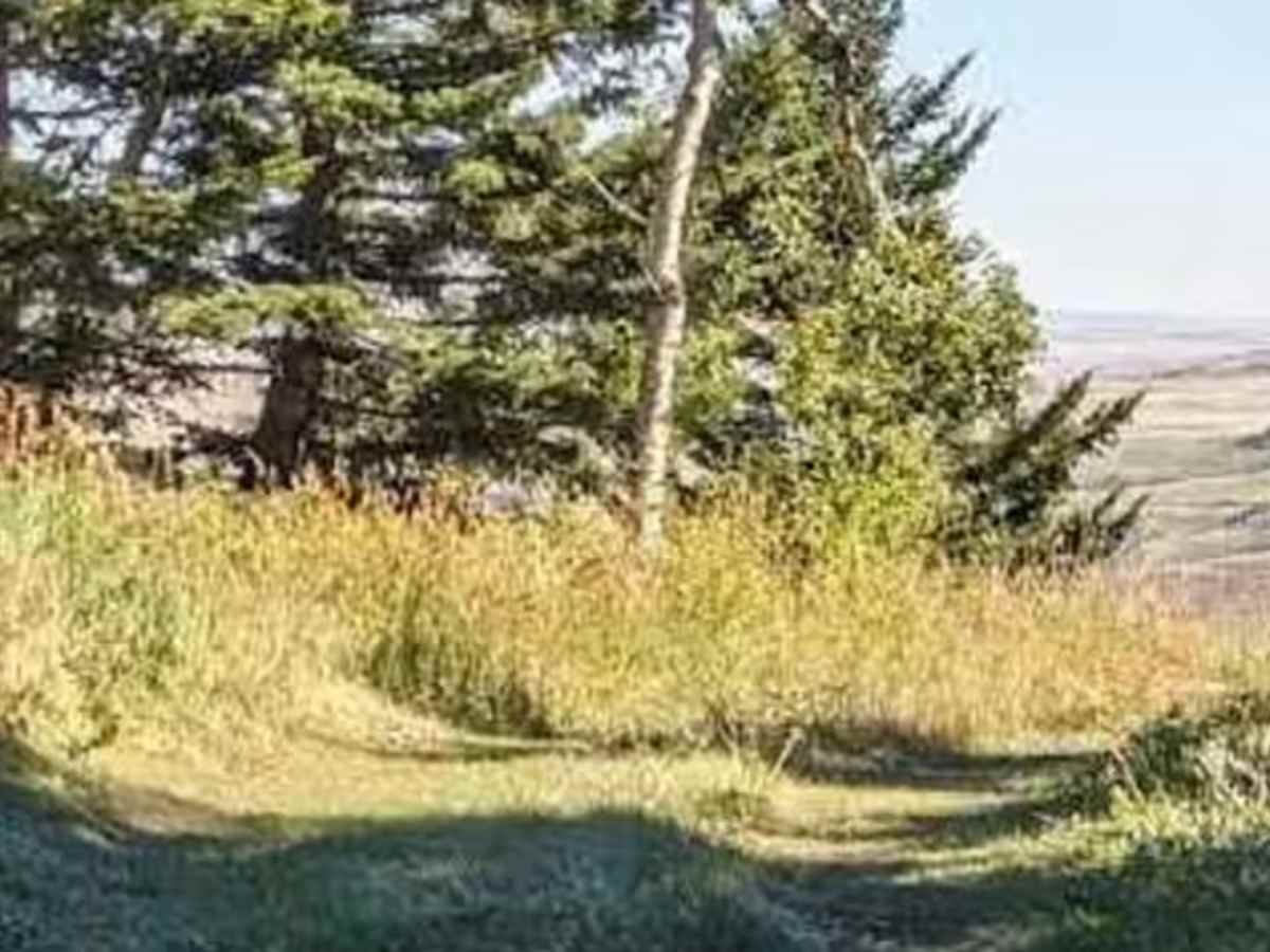 Porcupine Hills Trail 43 photo 5