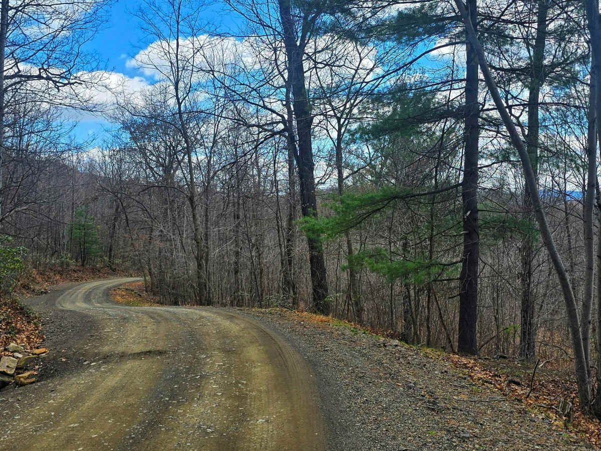 Wirt Road photo 3