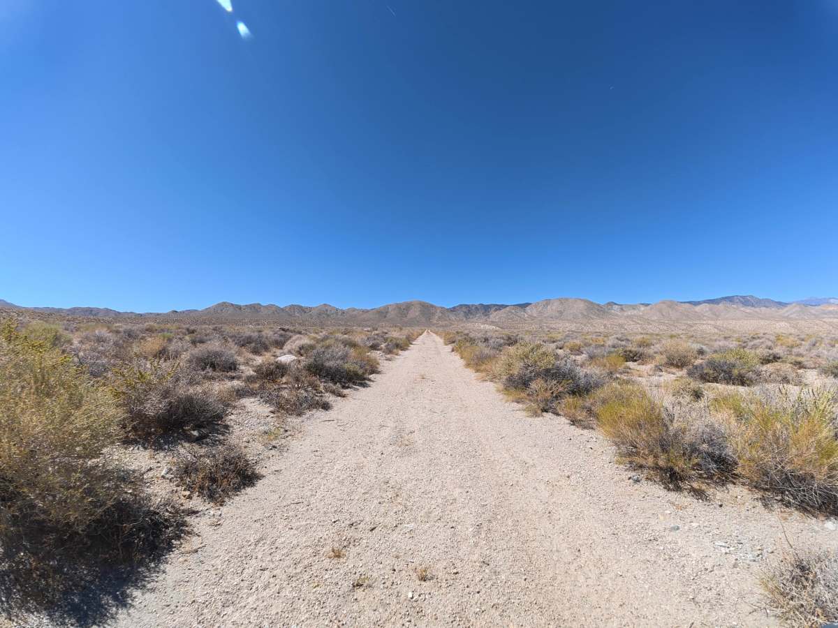 BLM 541 photo 2