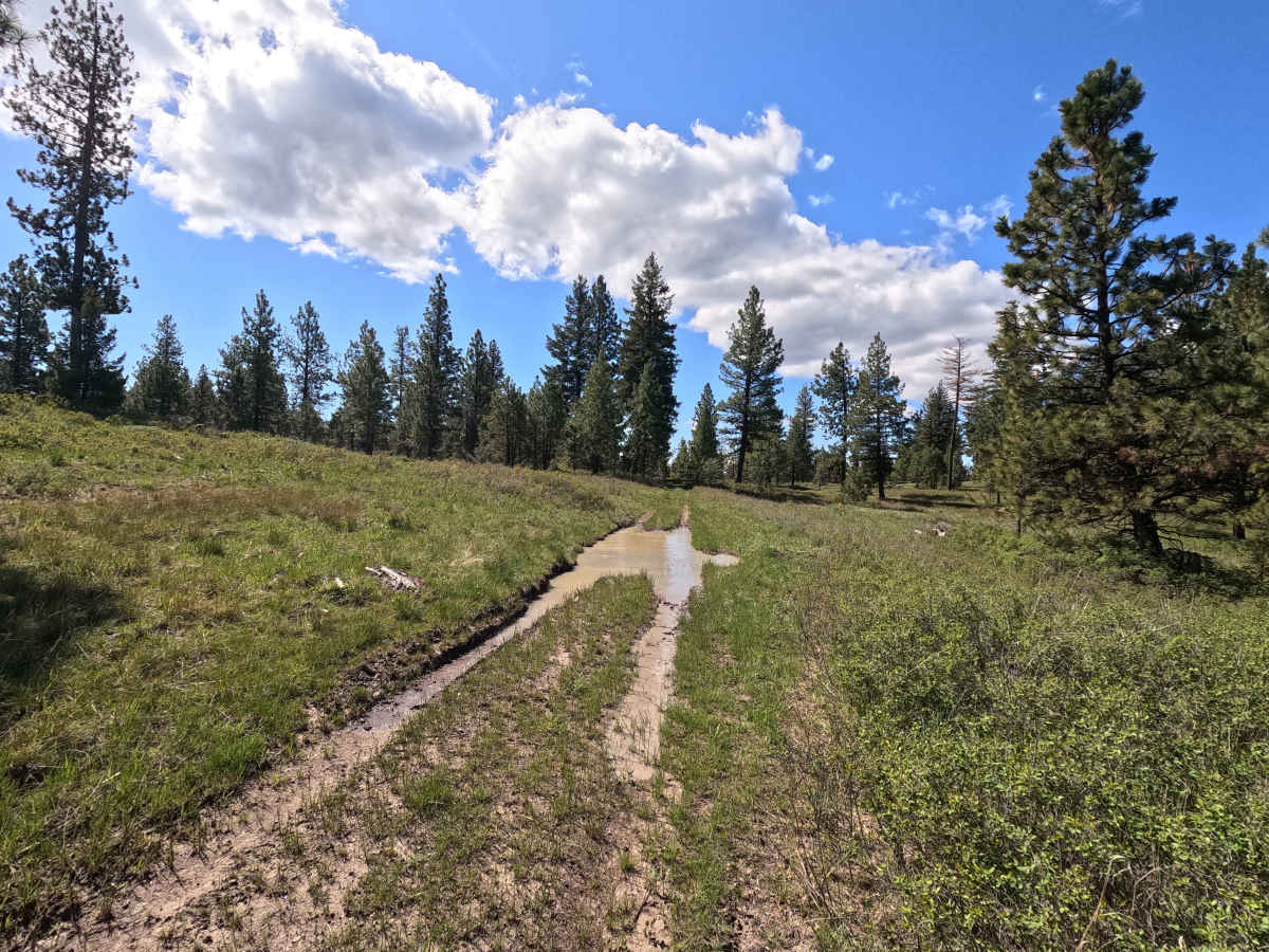 Trail 70 photo 5