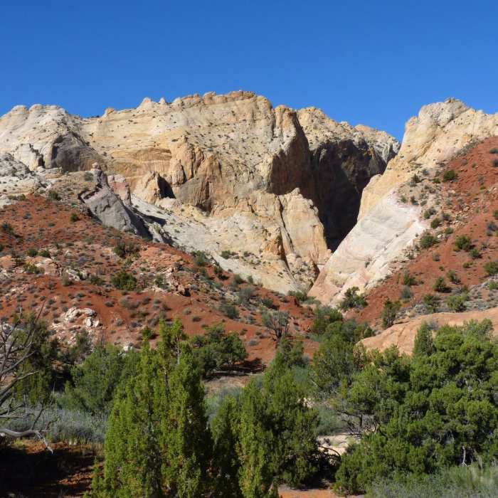 Near Surprise Canyon Trail