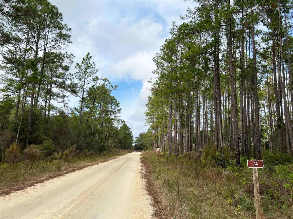 New River Road photo 5