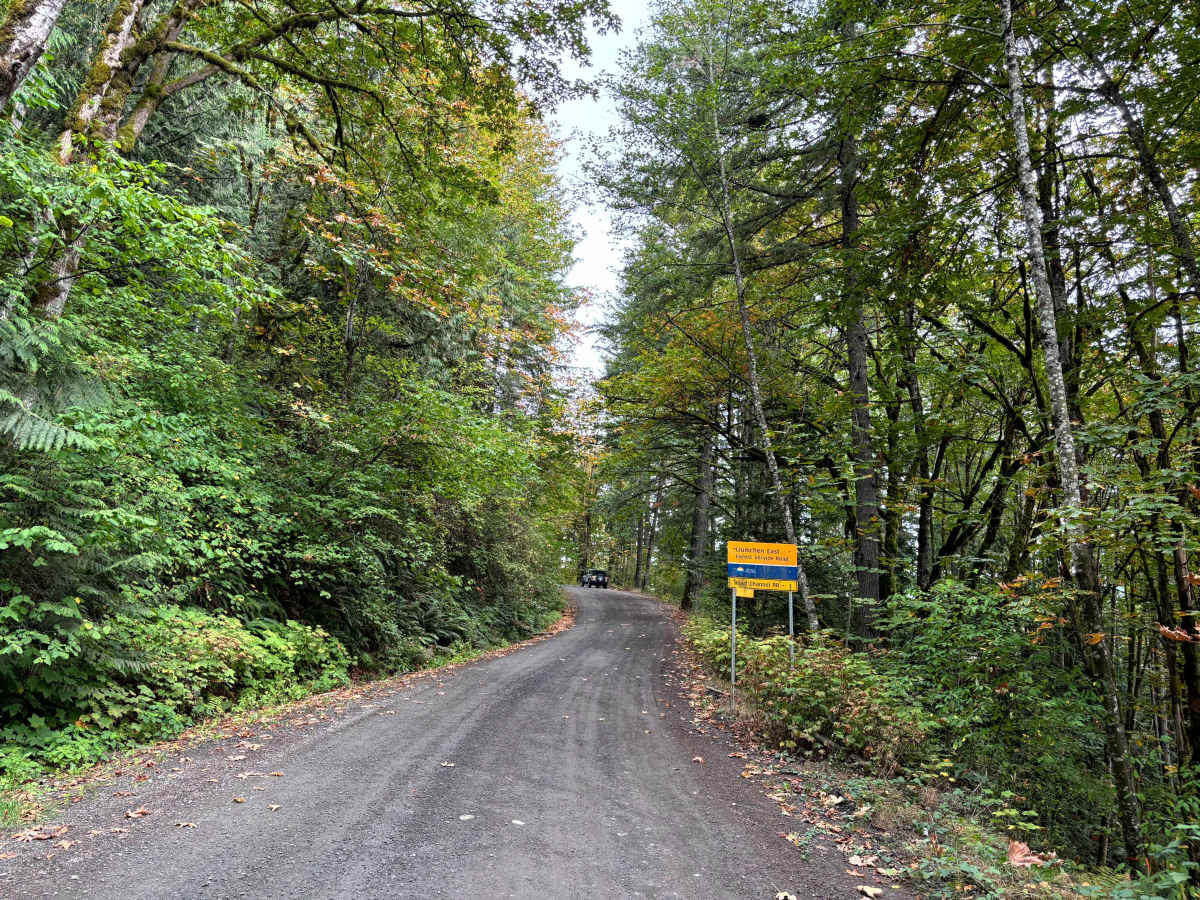 Liumchen East trail photo