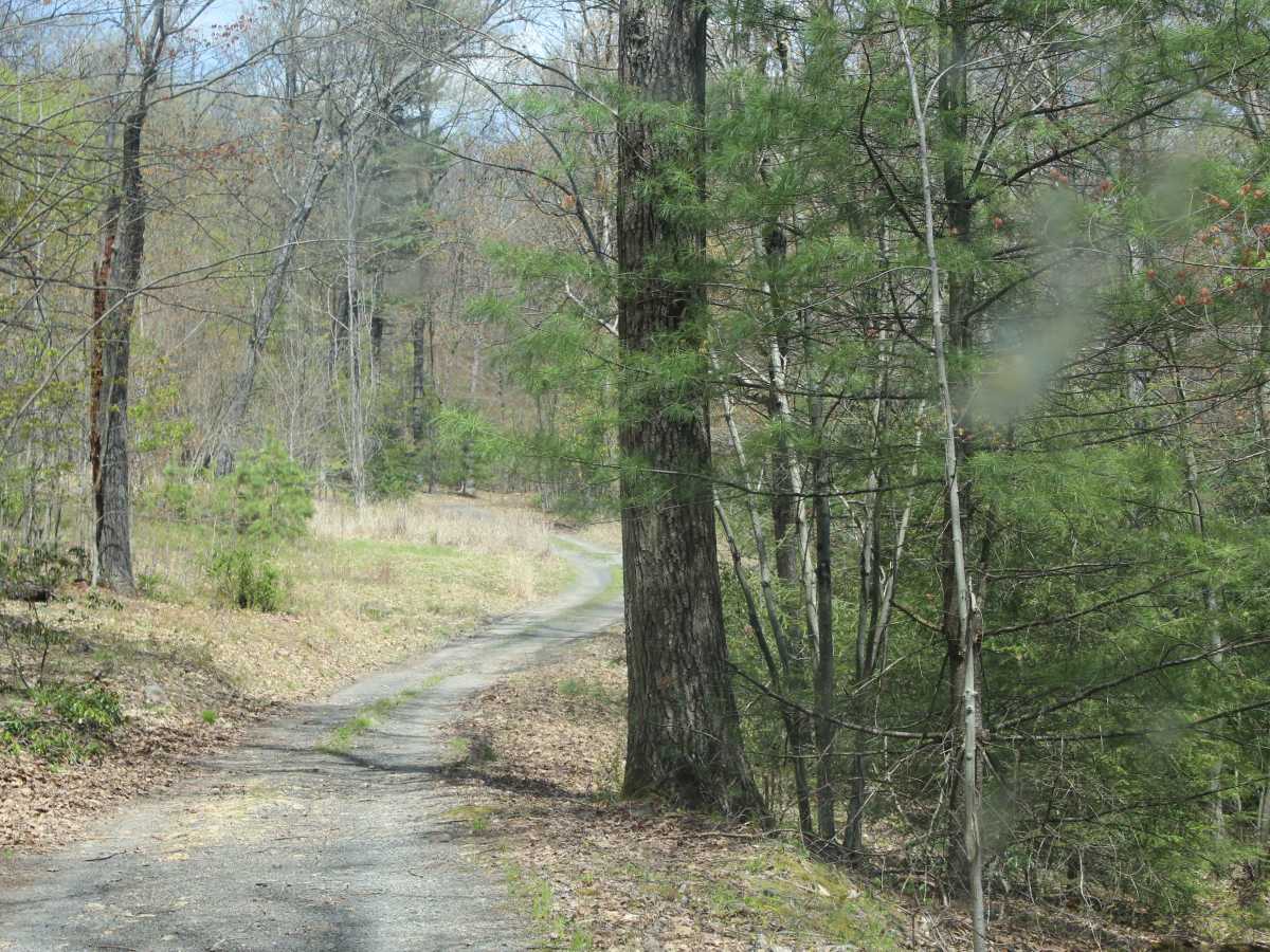 Old Sand Mountain Road photo 5