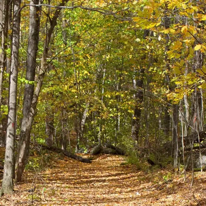 Near Equinox Mountain