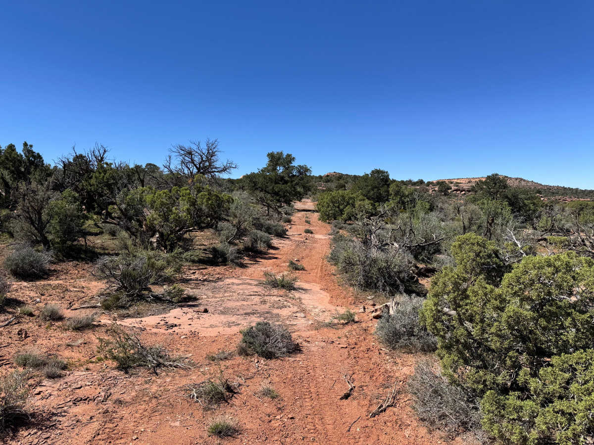 Dome Plateau - BLM 2118 photo 3