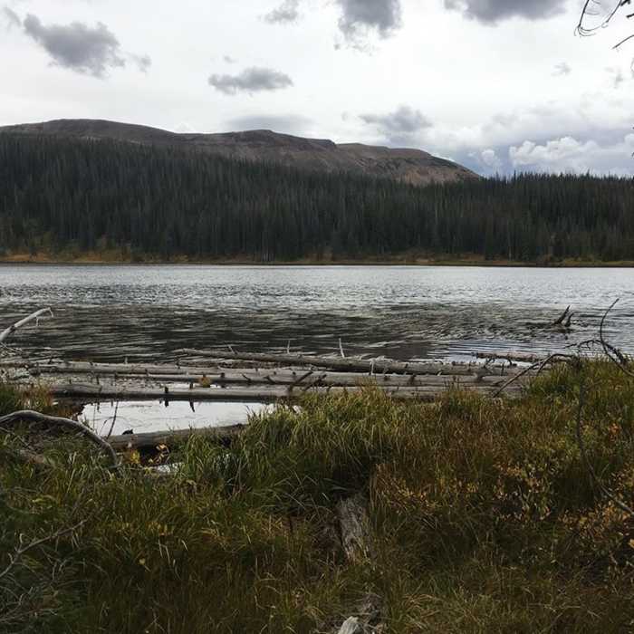 Near Zimmerman Lake Trail