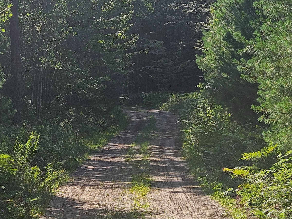 Bo's Trail photo 2